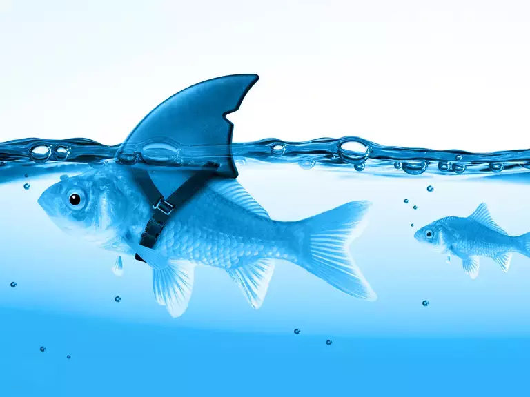 Keine Angst vor großen Tieren