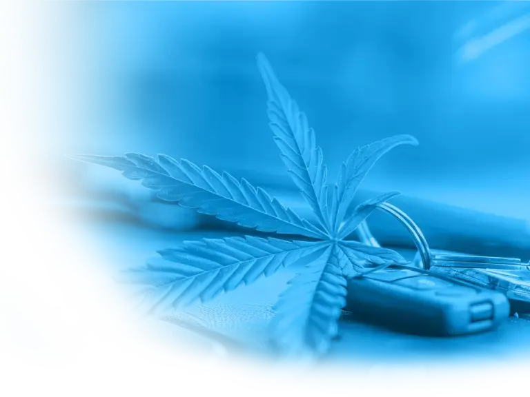 Autoschlüssel, die vor einem Cannabisblatt liegen
