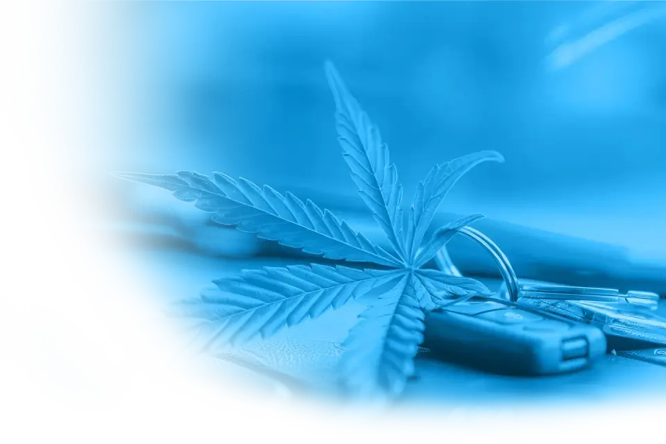 Autoschlüssel, die vor einem Cannabisblatt liegen
